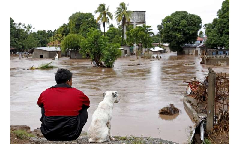 A man and his dog look at a flooded area in El Progreso, in the Honduran department of Yoro, after the passage of Hurricane Iota