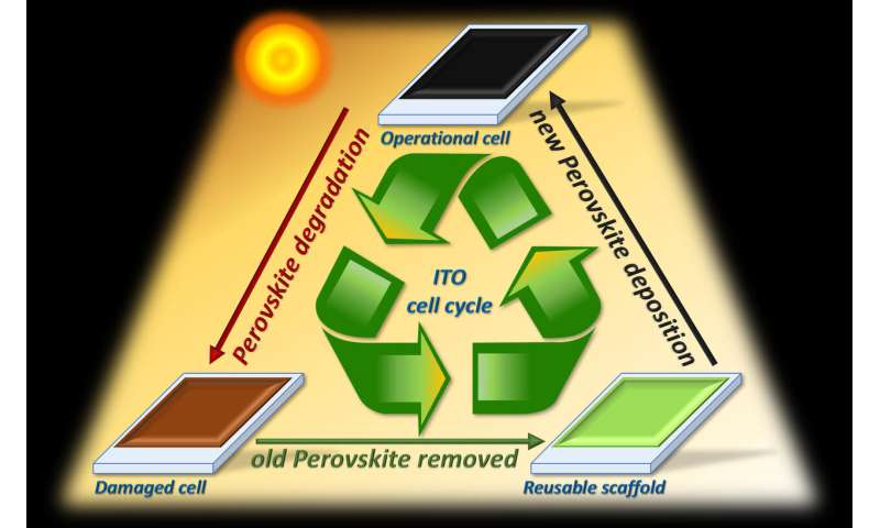 A method for replacing degraded perovskite in solar cells making them recyclable