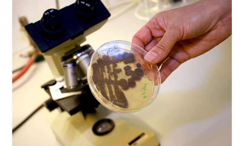 A new way of combating fungal infections