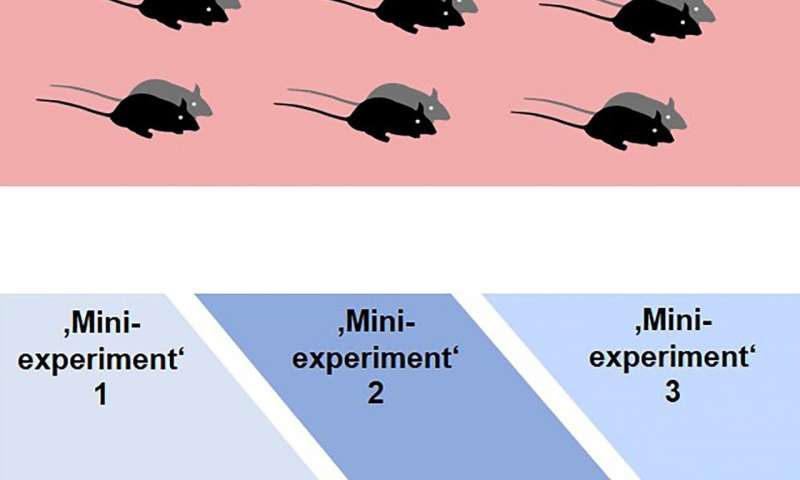 Animal-based research: New experimental design for an improved reproducibility