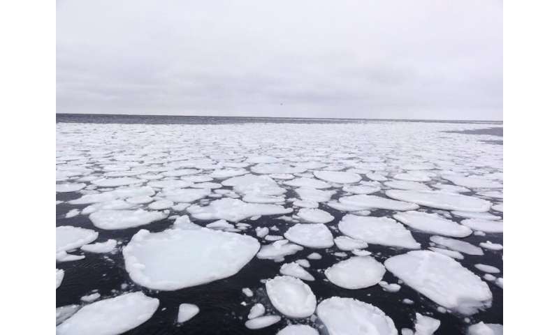 Antarctic sea-ice models improve for the next IPCC report