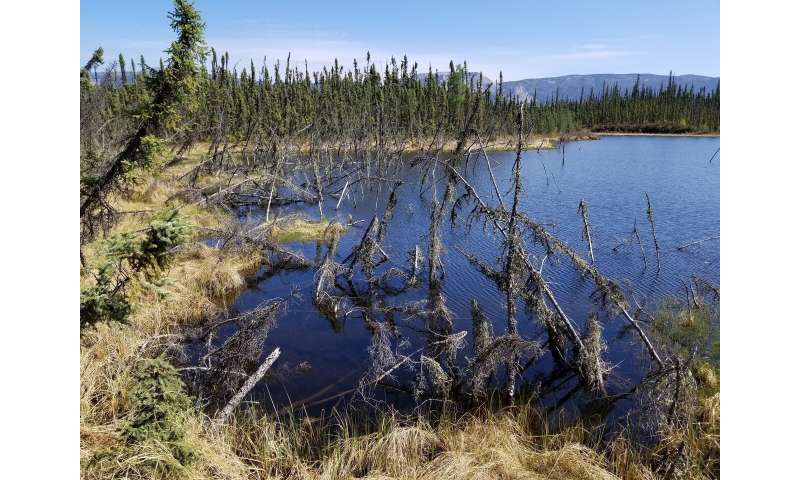 Arctic permafrost thaw plays greater role in climate change than previously estimated