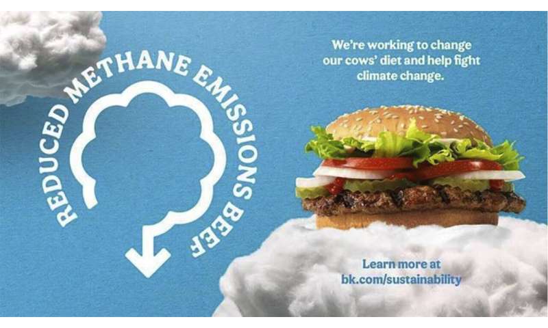 Burger King addresses climate change by changing cows' diets