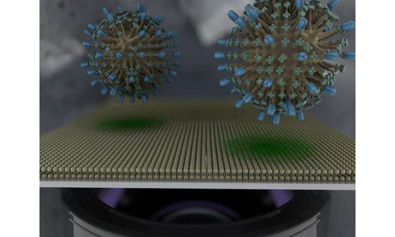 Cell 'membrane on a chip' could speed up screening of drug candidates for COVID-19