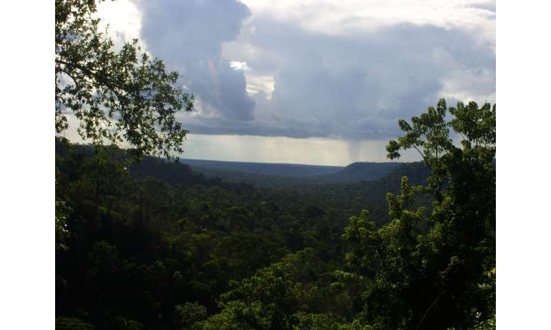 Climate may play a bigger role than deforestation in rainforest biodiversity