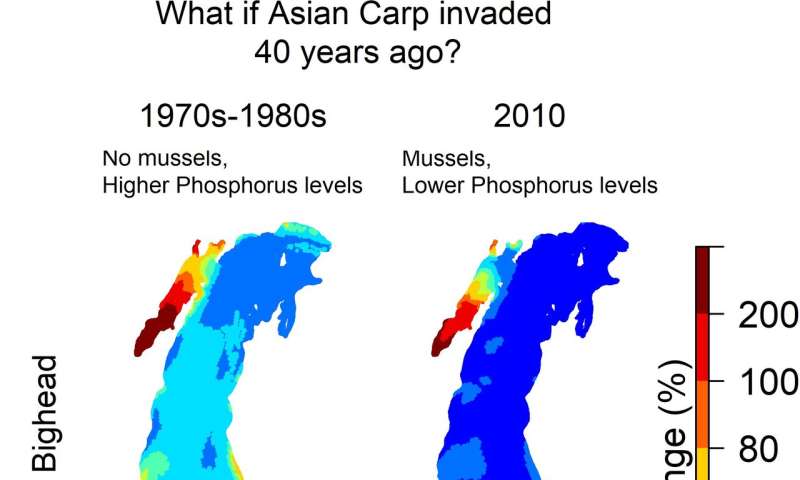 Climate warming increases Asian carp threat to Lake Michigan by offsetting quagga mussel 'ecological