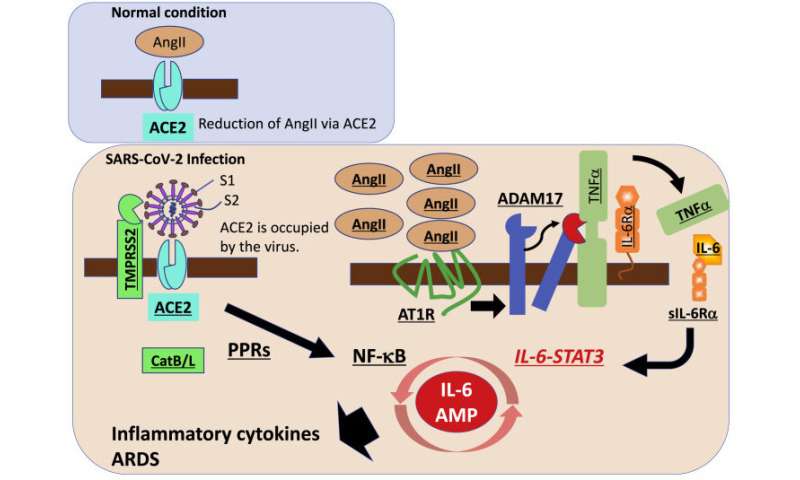 COVID-19 cytokine storm: Possible mechanism for the deadly respiratory syndrome