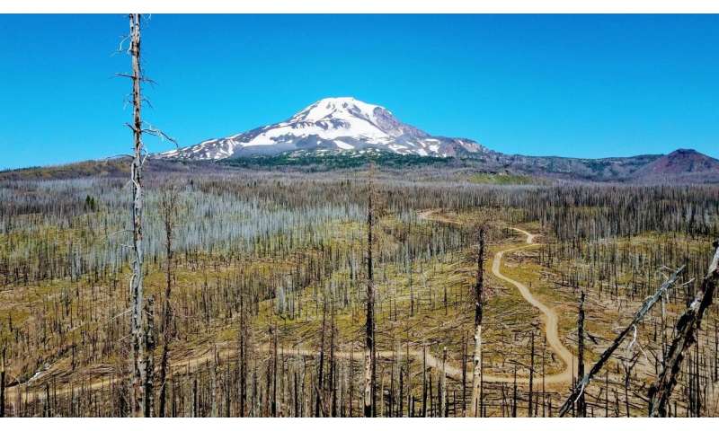 Driven by climate, more frequent, severe wildfires in Cascade Range reshape forests