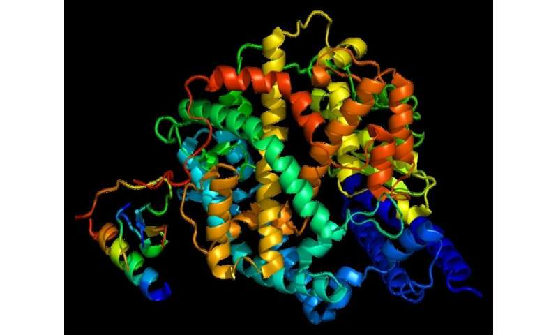 Exercise hormone may modulate genes associated with replication of novel coronavirus