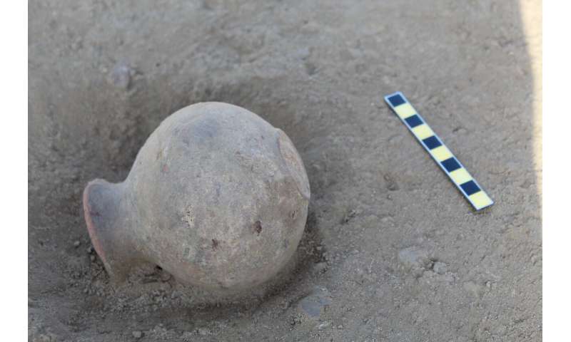 Fatty residues on ancient pottery reveal meat-heavy diets of Indus Civilization