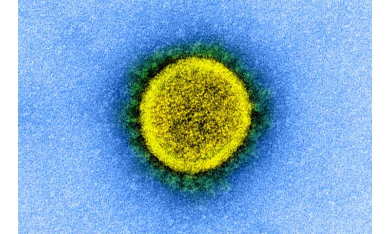 COVID-19, coronavirus