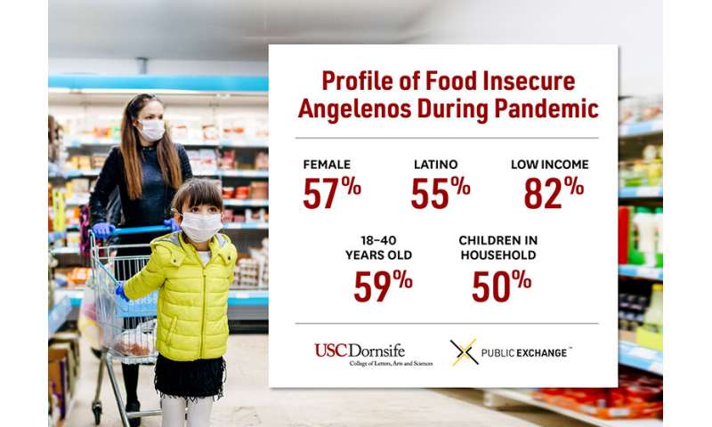 Food insecurity expands beyond low-income Angelenos during the pandemic