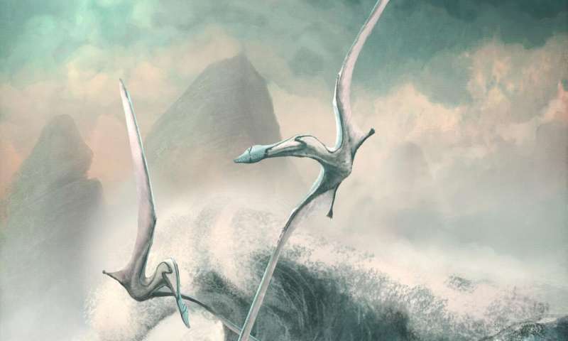 Giant lizards learnt to fly over millions of years