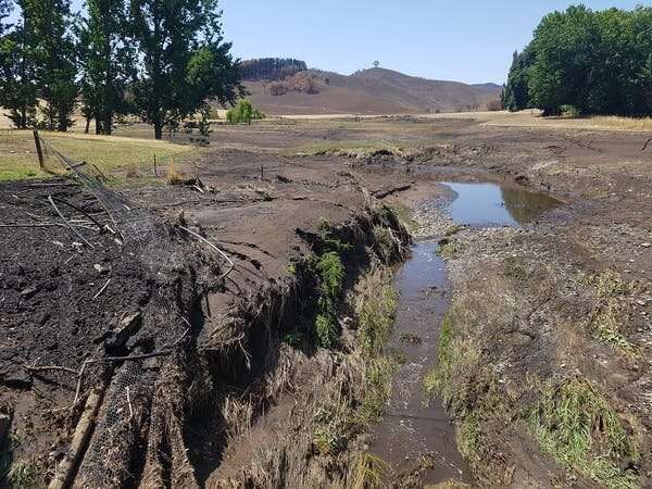 How bushfires and rain turned our waterways into 'cake mix', and what we can do about it