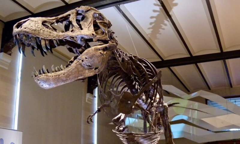 How do you weigh a dinosaur? There are two ways, and it turns out they're both right