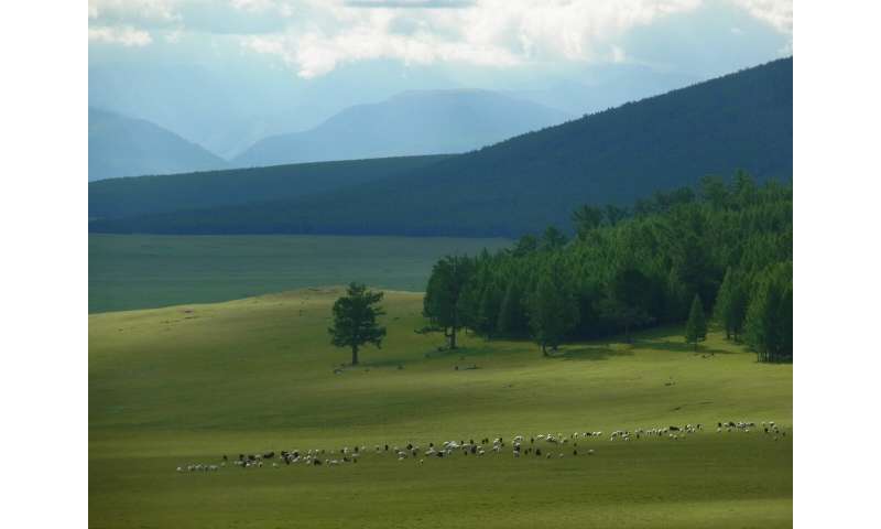 How millets sustained Mongolia's empires