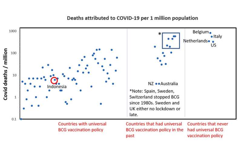 Indonesia should explore whether tuberculosis vaccine BCG can protect against COVID-19