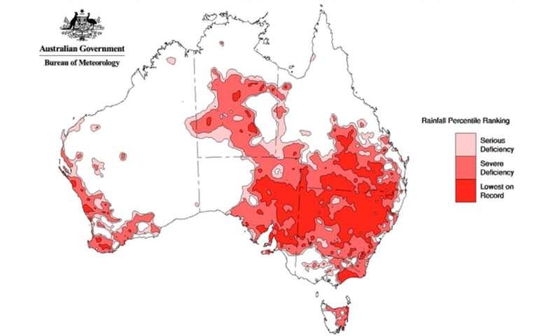 It's 12 months since the last bushfire season began, but don't expect the same this year
