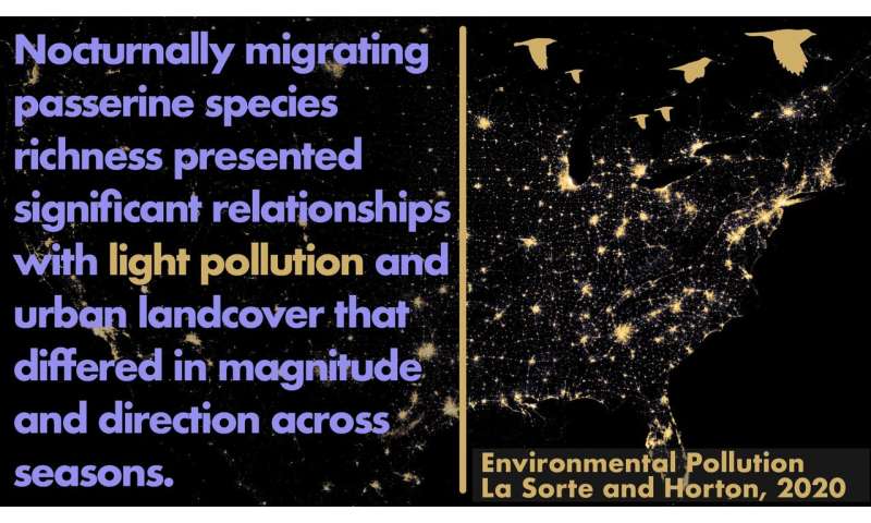Less light, more trees assist migrating birds