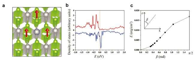 Gelokaliseerde magnetische momenten veroorzaakt door atomaire vacatures in overgangsmetaal dichalcogenide vlokken