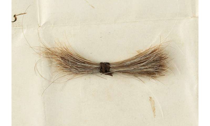 Lock of Lincoln's hair and bloodied telegram up for auction