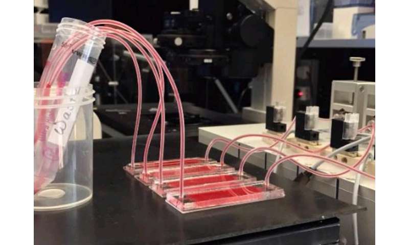 纽约大学阿布扎比分校的研究人员开发了一种进行癌症液体活检的新工具