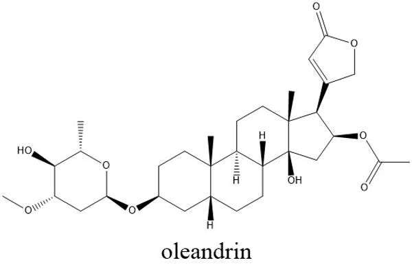 Oleandrin is a deadly plant poison, not a COVID-19 cure