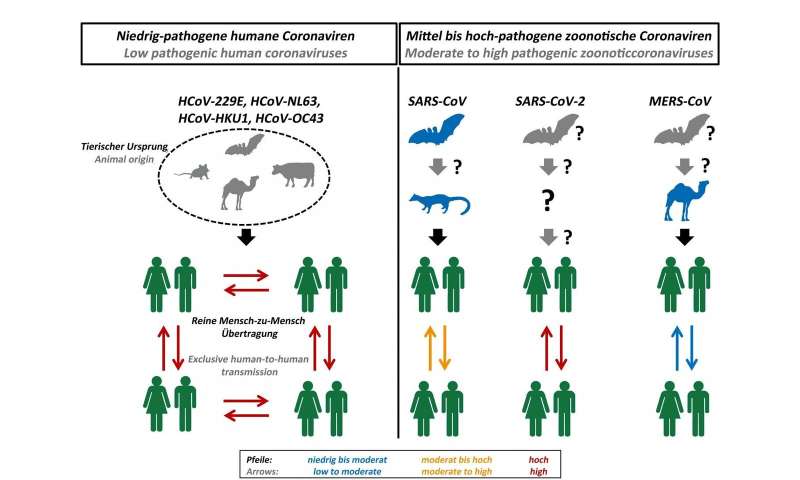 Preventing spread of SARS coronavirus-2 in humans