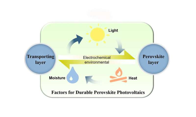 Promising strategies for durable perovskite solar cells