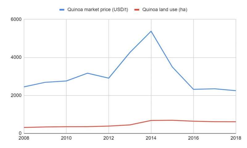La quinua es un rayo de esperanza para las comunidades andinas en un momento de crisis global