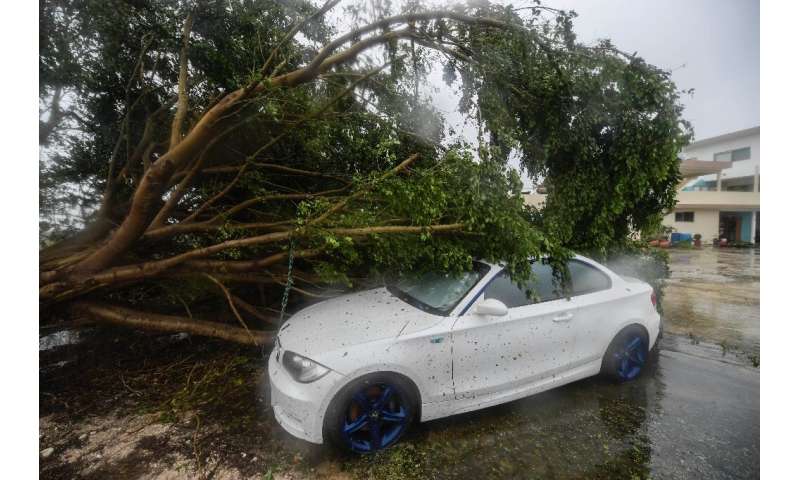 Several cars were damaged by trees uprooted by the storm in Cancun