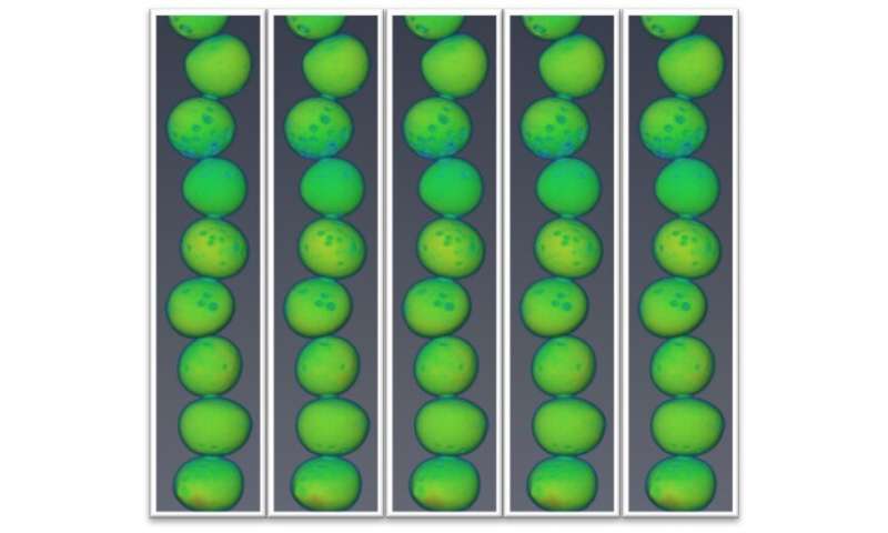 Story Tips: Molding matter atom by atom and seeing inside uranium particles
