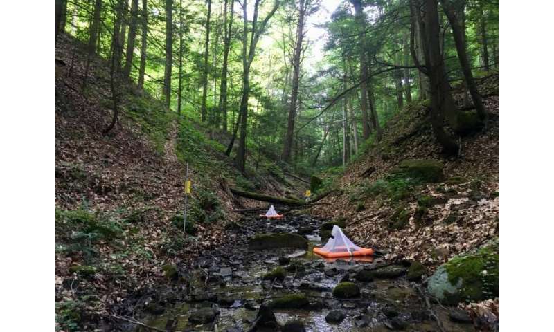 Stream pollution from mountaintop mining doesn't stay put in the water