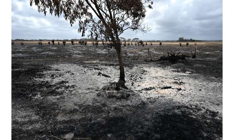 The catastrophic bushfires have left dozens dead and devastated vast swathes of the country since September