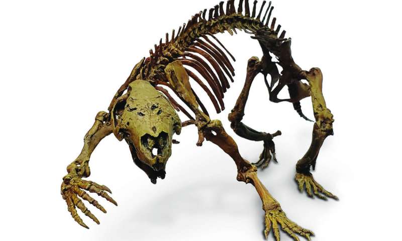 The 'crazy beast' that lived among the dinosaurs