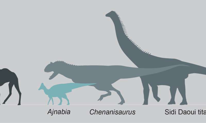 El primer fósil de dinosaurio con pico de pato de África muestra cómo los dinosaurios una vez cruzaron los océanos