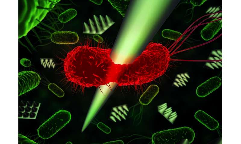 The force necessary to kill a single bacterium