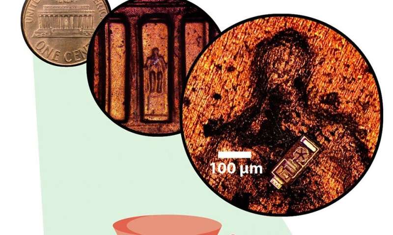 Tiny sensors fit 30,000 to a penny, transmit data from living tissue