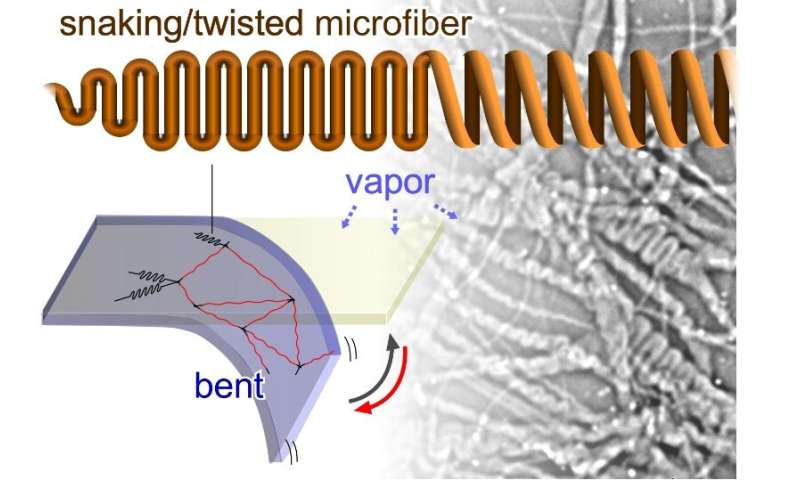 Twisted microfiber's network responses to water vapor