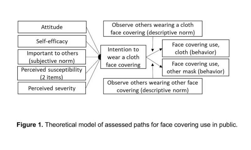 Researcher examines why people choose to wear face coverings thumbnail