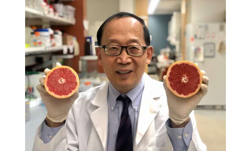 UofL researcher uses fruit for less toxic drug delivery