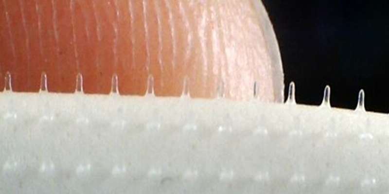 Vaccines through microneedle skin patches