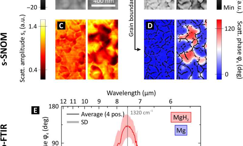 Watching the in situ hydrogen diffusion dynamics in magnesium on the nanoscale