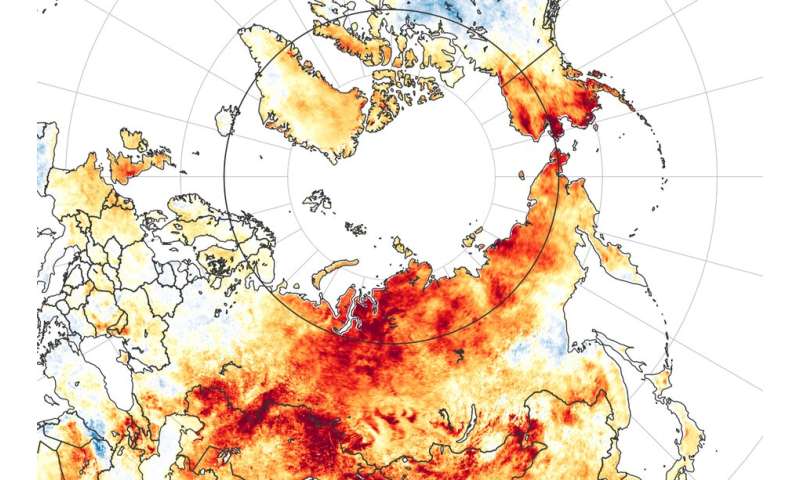 100 degrees in Siberia? 5 ways the extreme Arctic heat wave follows a disturbing pattern
