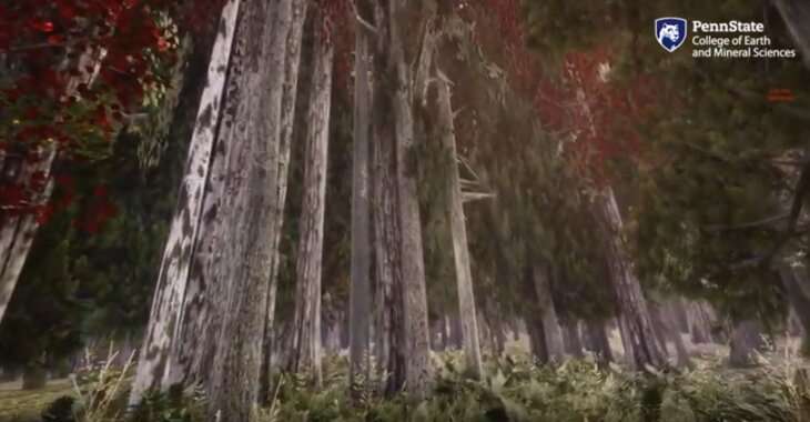 Virtual reality forests could help understanding of climate change