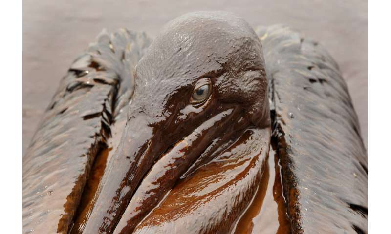 10 years after BP spill: Oil drilled deeper; rules relaxed