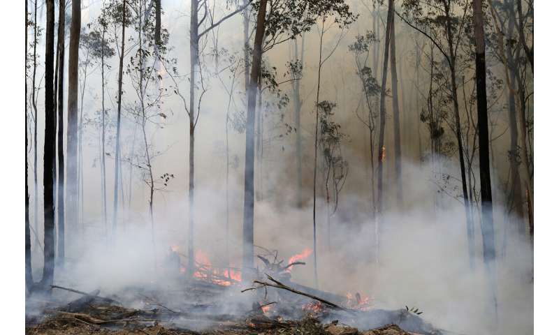Australia turns from defense to offense in wildfire battle