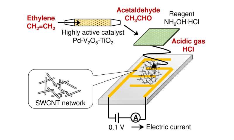 Development of a small sensor capable of continuously monitoring the phytohormone ethylene