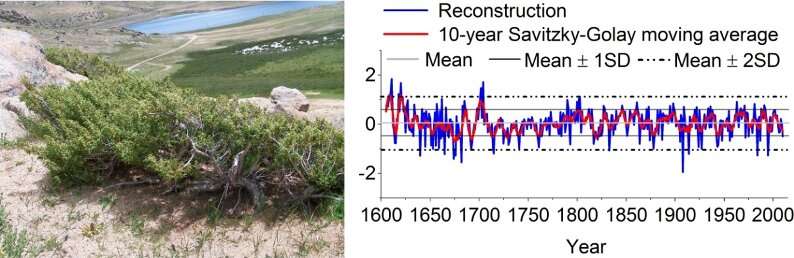 Scientists reconstruct spring hydroclimate on south-central Tibetan Plateau by living and dead alpine juniper shrubs