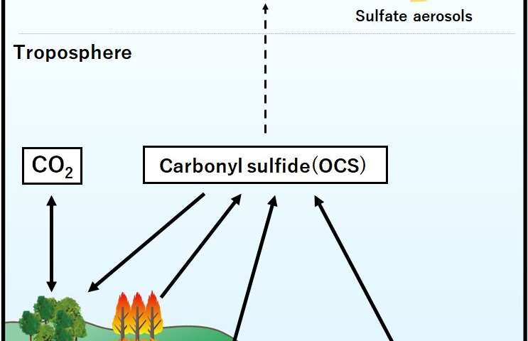 Scientists identify missing source of atmospheric carbonyl sulfide